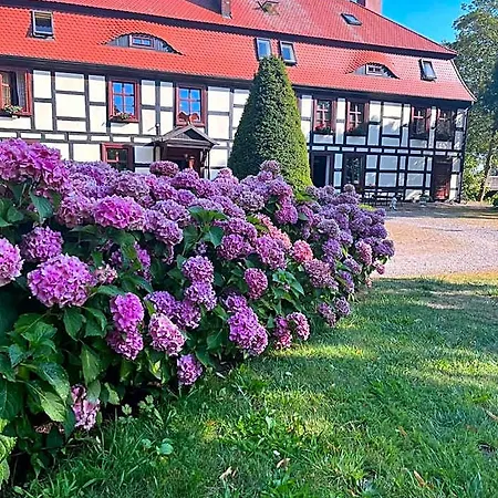 Gosciniec Zamkowy イン 3*