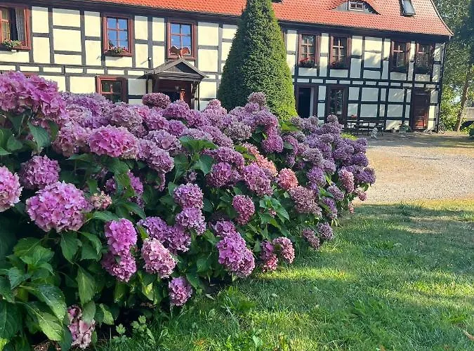 Fogadó Gosciniec Zamkowy Darłowo